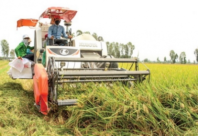 Công nghệ chế biến nông sản Việt Nam ở mức trung bình của thế giới
