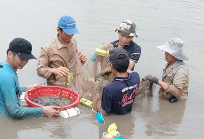 Trà Vinh: Gần 2,5 tỷ đồng dành cho khuyến nông thủy sản