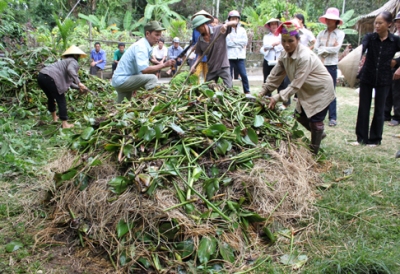 ĐẶC ĐIỂM CỦA CÁC LOẠI PHÂN BÓN HỮU CƠ