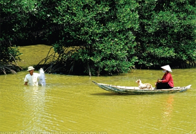 Cà Mau: Sức bật thủ phủ ngành tôm