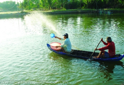 Chăm sóc tôm mùa lạnh