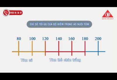 ĐỘ KIỀM TRONG AO NUÔI TÔM-CÁCH QUẢN LÝ HIỆU QUẢ