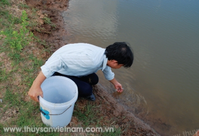 Phòng, chống dịch bệnh trên thủy sản