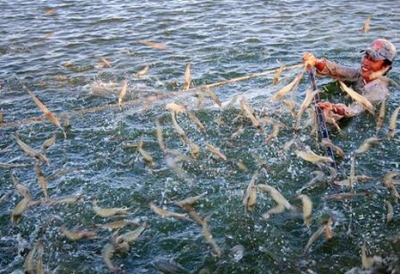 Chuyên gia Mỹ: Cứ tâm niệm giá trị sản phẩm do NGƯỜI MUA quyết định, thương hiệu Việt chắc chắn lên ngôi