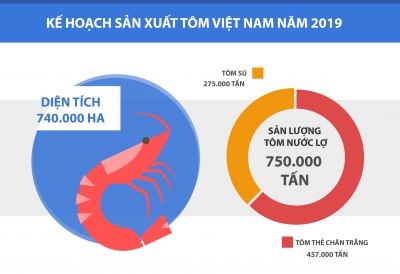 Bàn chuyện giảm giá thành nuôi tôm