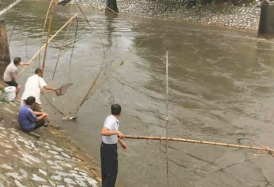 Hà Nội: Người dân mang vó ra sông Kim Ngưu bắt cả tạ cá sau mưa lớn