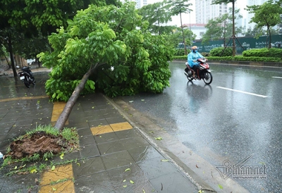 Dự báo thời tiết 6/8, Hà Nội mưa dông, đề phòng gió giật mạnh