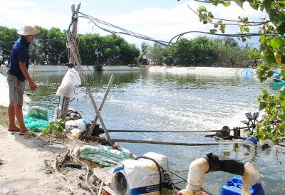 Phòng ngừa dịch bệnh tôm nuôi vụ mới: Cẩn trọng để ứng phó với thời tiết bất thường