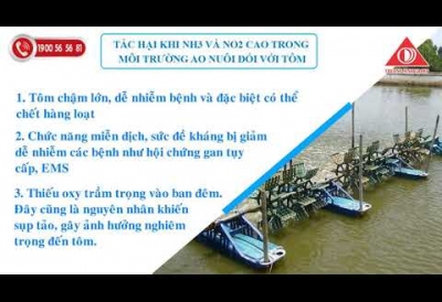 Nguyên nhân và cách xử lý khí độc NH3 và NO2 hiệu quả!!!