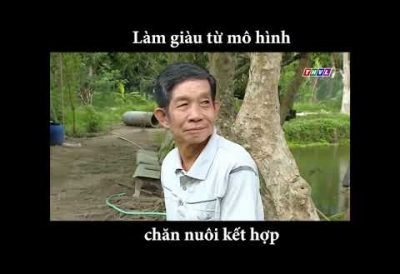 Làm giàu từ mô hình chăn nuôi kết hợp