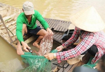 Nhiều hy vọng cho nông dân đầu nguồn trong mùa nước nổi