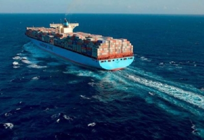 Doanh nghiệp thủy sản kêu khó vì cước vận tải biển tăng 30%