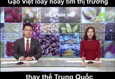 Gạo Việt loay hoay tìm thị trường thay thế Trung Quốc