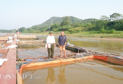 Tuyệt chiêu 