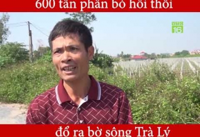 600 tấn phân bò hôi thối đổ ra bờ sông Trà Lý