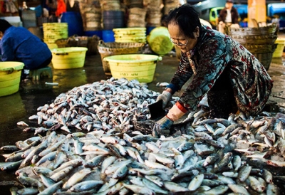 Trung Quốc: Hãng bán buôn thủy sản tươi sống thiệt hại nặng do coronavirus