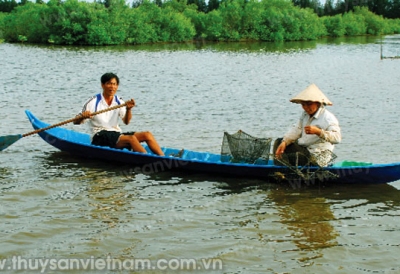 Tìm lối thoát cho ĐBSCL mùa hạn, mặn