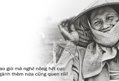 Lạc quan mùa hạn mặn