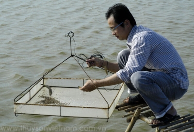 Ngăn chặn dịch bệnh trên tôm