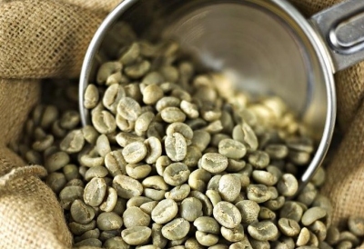 Giá cà phê Tây Nguyên ngày 19/06//2020 tiếp tục giảm thêm 300 ngàn đồng/tấn