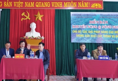 Thanh Hóa: Các giải pháp nâng cao hiệu quả trong sản xuất cây trồng vụ Đông 2019