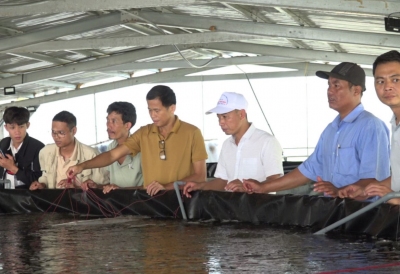 Nông dân tỉnh Đắk Lắk nuôi tôm thẻ chân trắng nước mặn