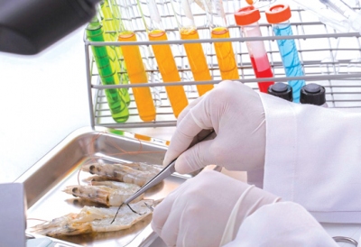 PCR - Giải pháp xác định bệnh sớm ở tôm