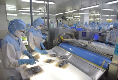 Con tôm tiếp tục gặp khó khăn tại thị trường Mỹ