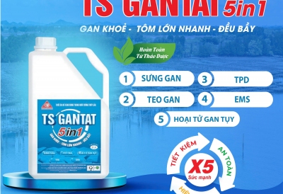 TS GANTAT 5in1- Giải Pháp Bảo Vệ Gan Toàn Diện Giúp Tôm Khỏe Mạnh, Tiết Kiệm Chi Phí