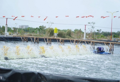Đảm bảo an toàn thủy sản mùa mưa bão