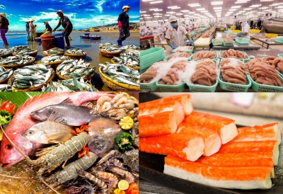 Bức tranh thủy sản Việt Nam nửa cuối 2025