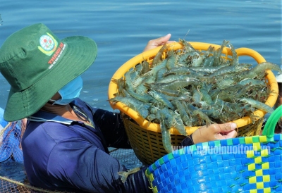 Nâng cao năng lực cạnh tranh cho các ngành hàng chịu tác động từ thuế đối ứng của Hoa Kỳ