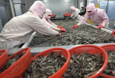 CHUYỂN ĐỘNG THỊ TRƯỜNG: ĐẾM NGƯỢC LỆNH 280 CỦA TRUNG QUỐC – DOANH NGHIỆP THỦY SẢN PHẢI HÀNH ĐỘNG NGAY!
