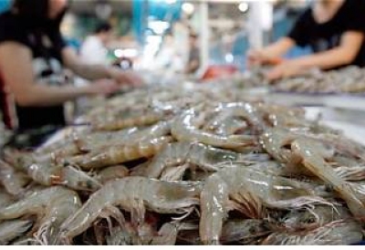 THỦY SẢN VIỆT NAM ĐÓN CƠ HỘI LỚN TỪ THỊ TRƯỜNG TRUNG QUỐC