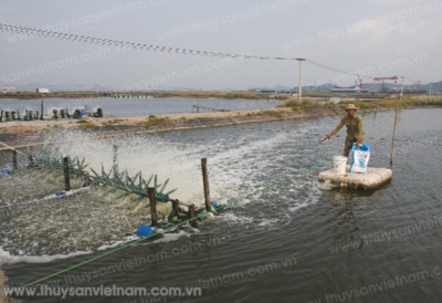 Quản lý sức khỏe thủy sản mùa lạnh