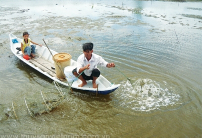 Ứng phó hạn, mặn trong nuôi tôm