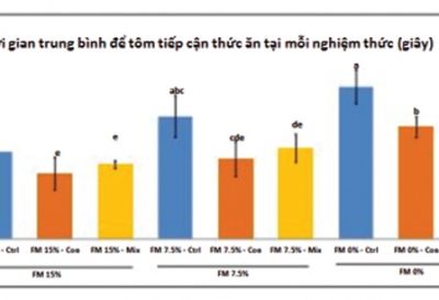 Axit amin tự do cải thiện hành vi của tôm và khả năng dẫn dụ thức ăn