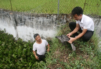 Sơn La: Toàn tỉnh khai thác 642 tấn thủy sản trong tháng 7