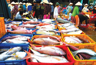 Bình Thuận: Sản lượng hải sản nhiều, dù cuối vụ cá nam