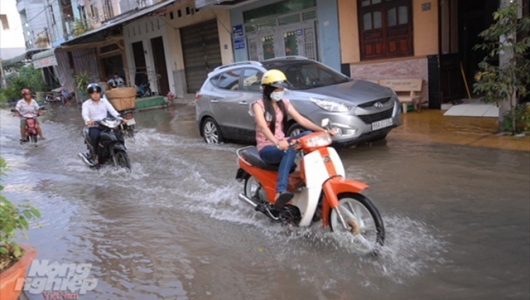 Triều cường giữa và cuối tháng 10 ở dưới và trên báo động 3