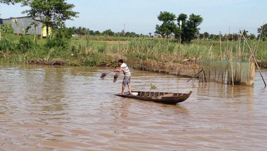 Đồng Tháp: Đánh bắt thủy sản mùa cá ra