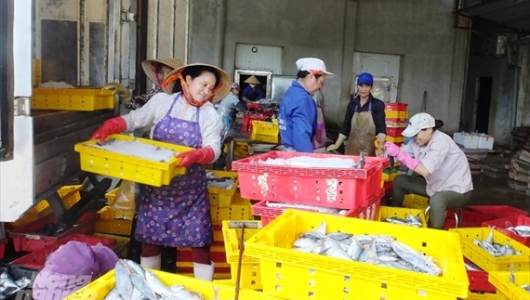 Xuất khẩu thủy sản sang Trung Quốc: Nâng chất lượng, chuyển từ tiểu ngạch sang chính ngạch