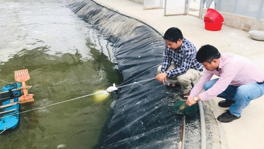 Giải pháp tăng năng suất trong nuôi tôm