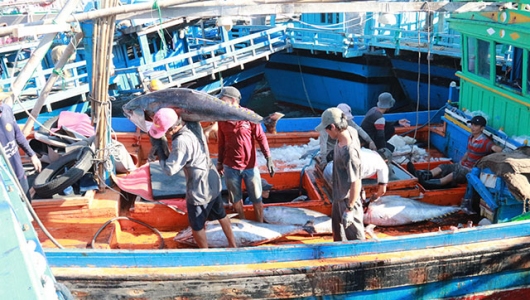 Bình Định: Mạnh tay chống khai thác IUU