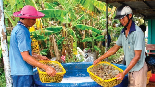 Nỗi lo biến động về giá