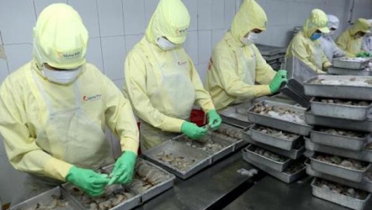 Cáo buộc tránh thuế bán phá giá của Minh Phú và