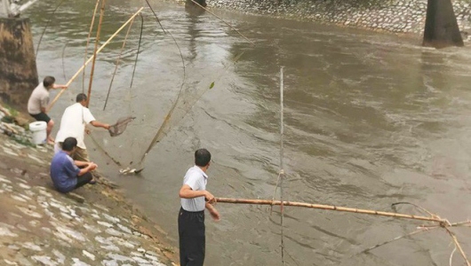 Hà Nội: Người dân mang vó ra sông Kim Ngưu bắt cả tạ cá sau mưa lớn