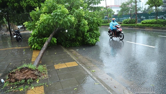 Dự báo thời tiết 6/8, Hà Nội mưa dông, đề phòng gió giật mạnh