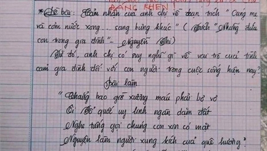 Nam sinh gây sốt với bài văn dài 18 trang, cô giáo đọc xong không biết phải phê gì vì quá xuất sắc!