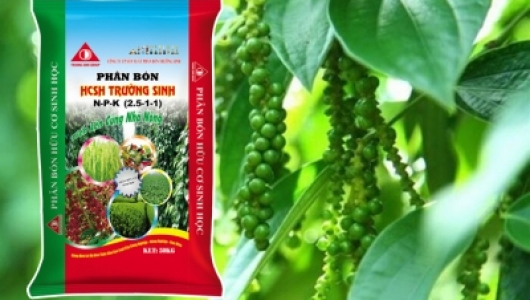 NHỮNG CHIA SẺ VỀ CÁCH CHỌN MUA PHÂN BÓN CHẤT LƯỢNG